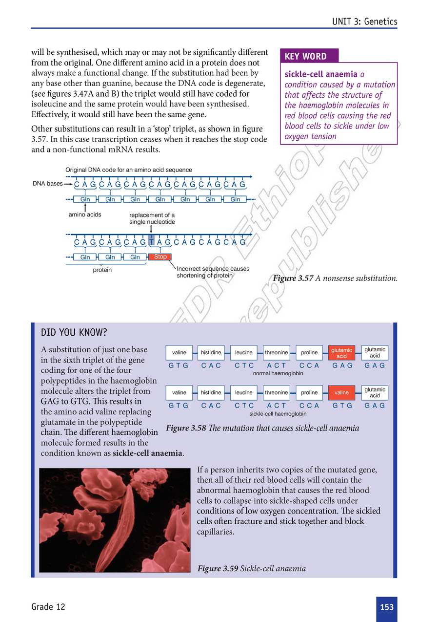 Biology grade 12
                
                page 158