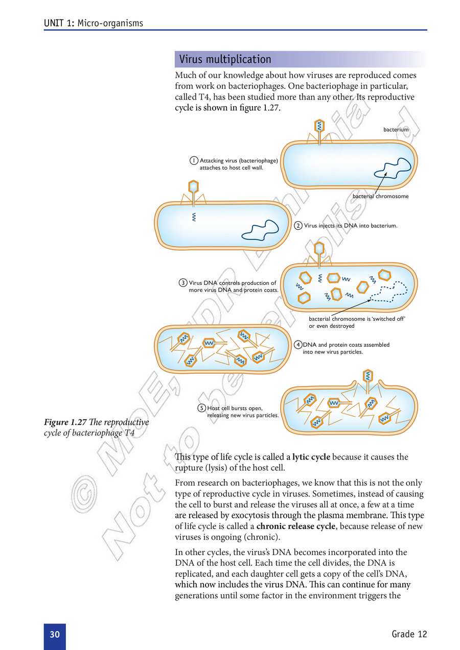 Biology grade 12
                
                page 35