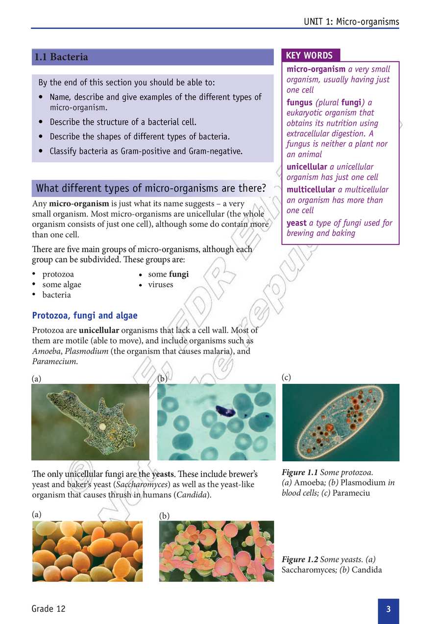 Biology grade 12
                
                page 8