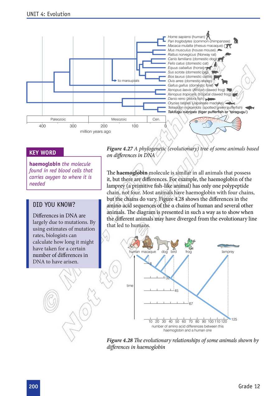 Biology grade 12
                
                page 205