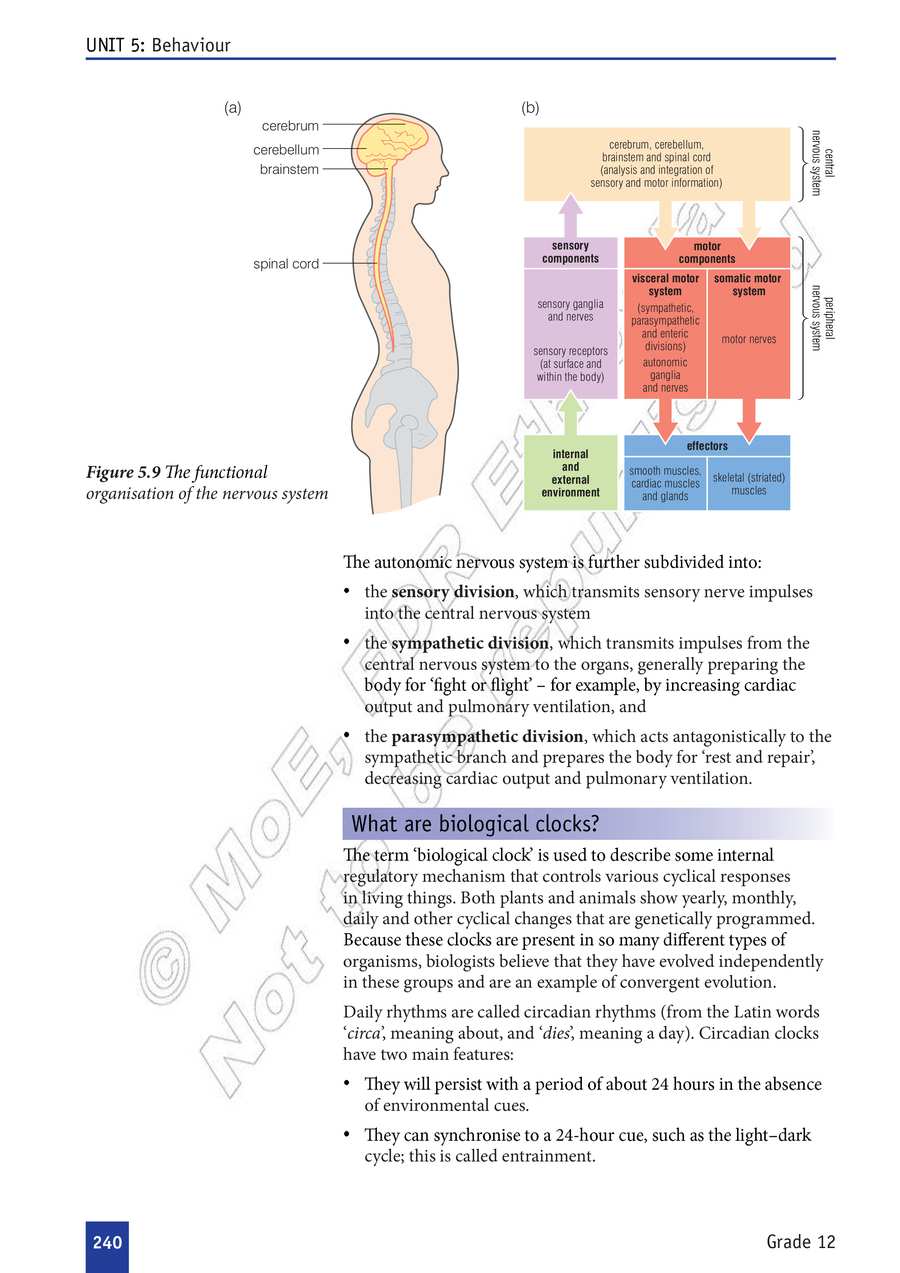 Biology grade 12
                
                page 245