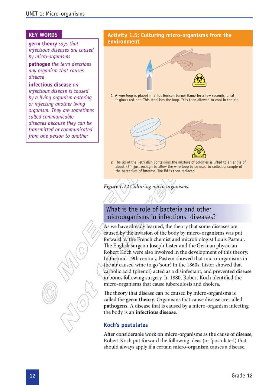 Biology grade 12
                
                page 17