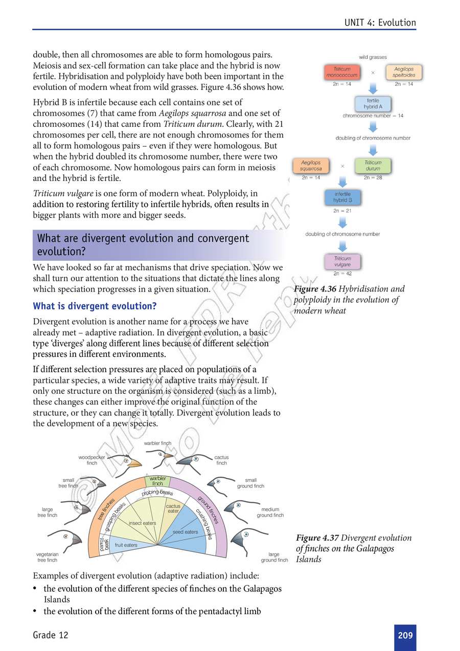 Biology grade 12
                
                page 214
