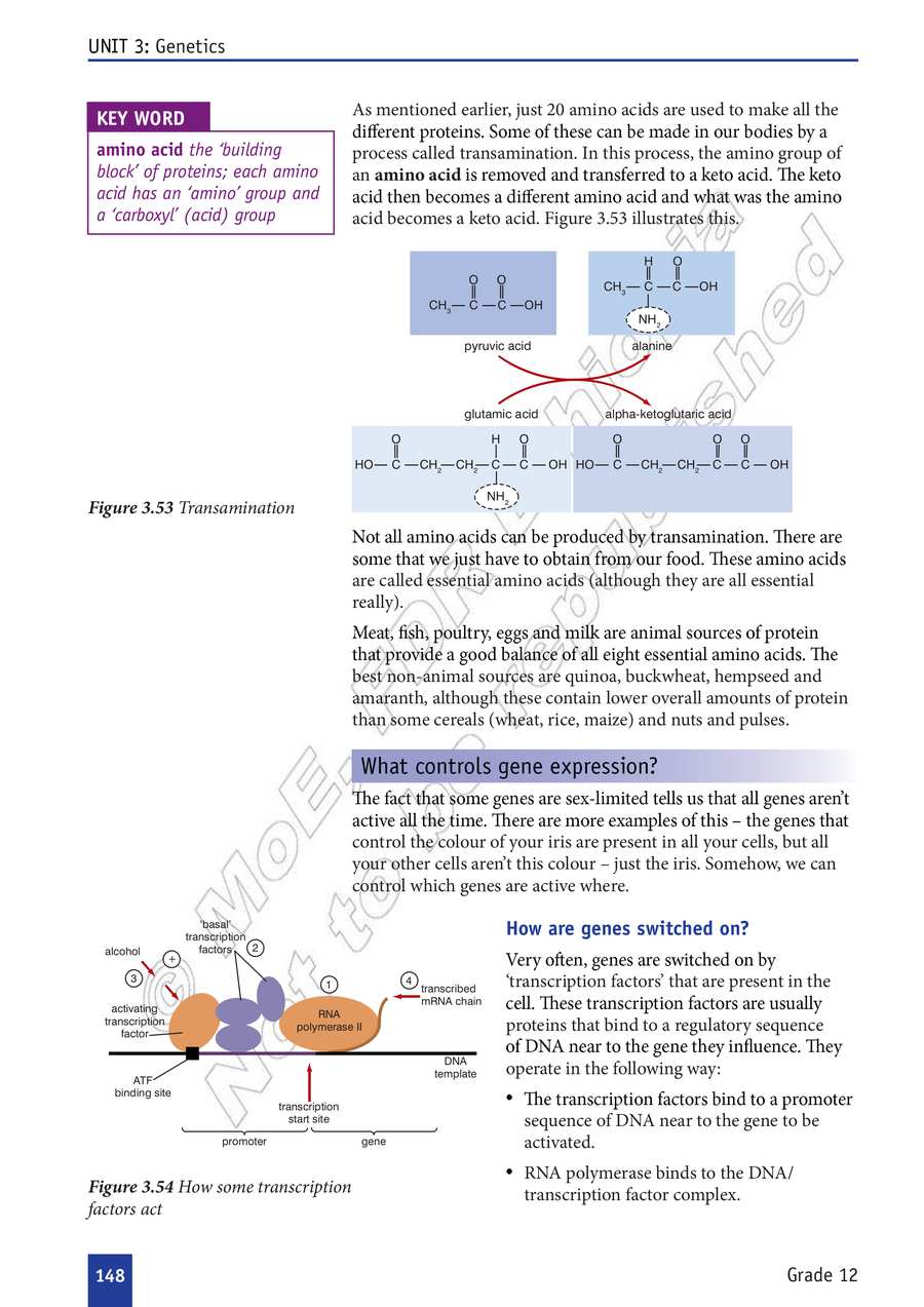 Biology grade 12
                
                page 153