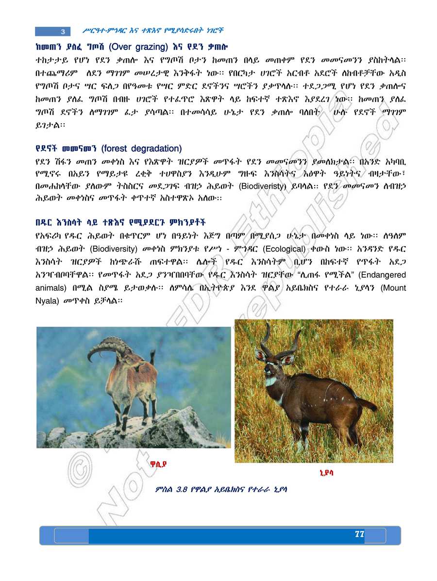 Social Studies grade 7
                
                page 81