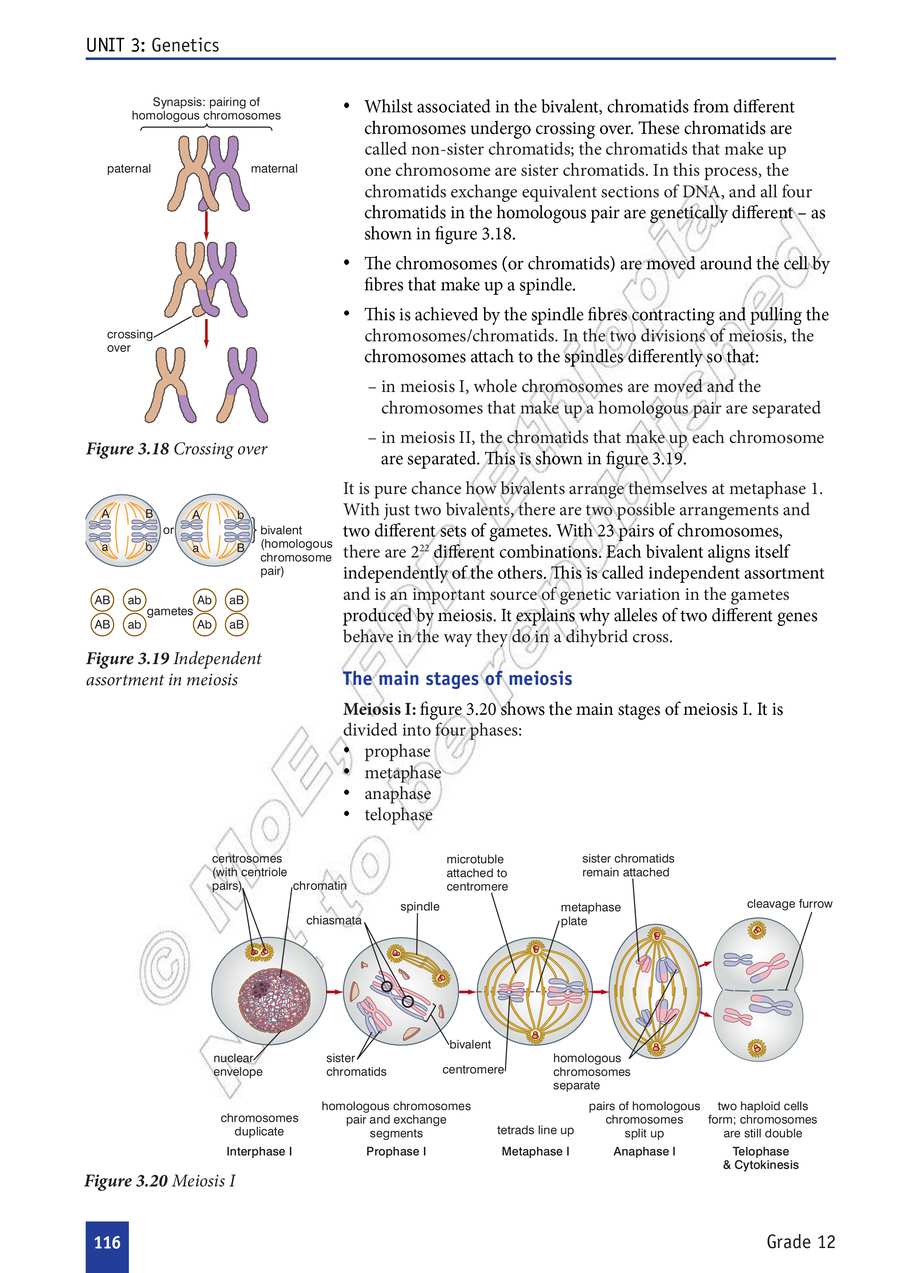 Biology grade 12
                
                page 121