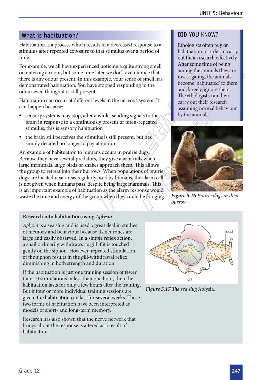 Biology grade 12
                
                page 252