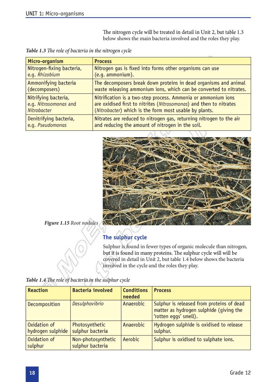 Biology grade 12
                
                page 23