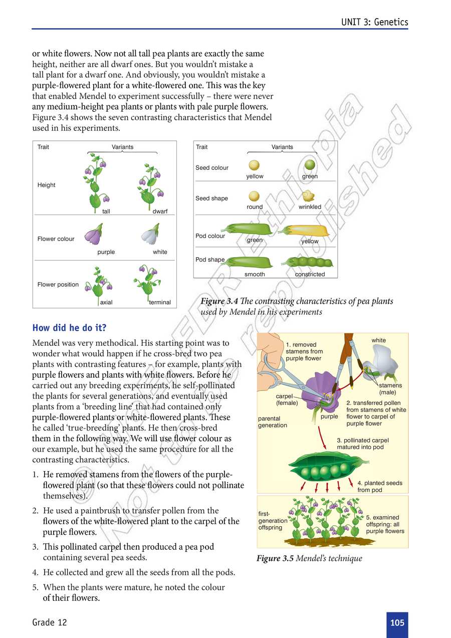 Biology grade 12
                
                page 110