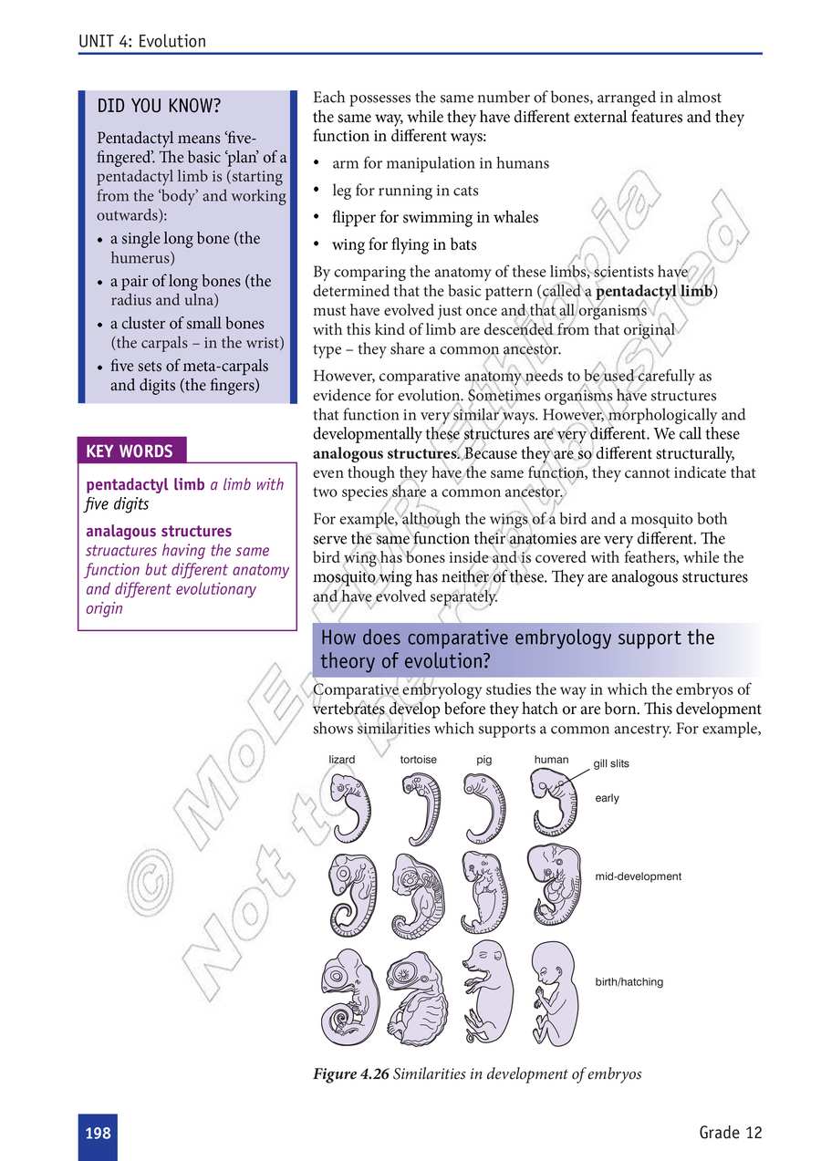 Biology grade 12
                
                page 203