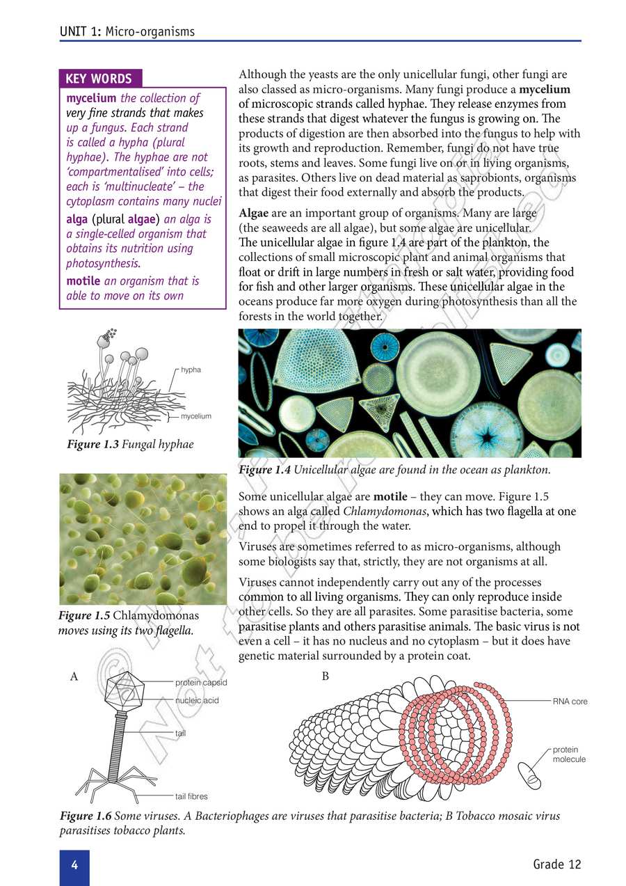 Biology grade 12
                
                page 9