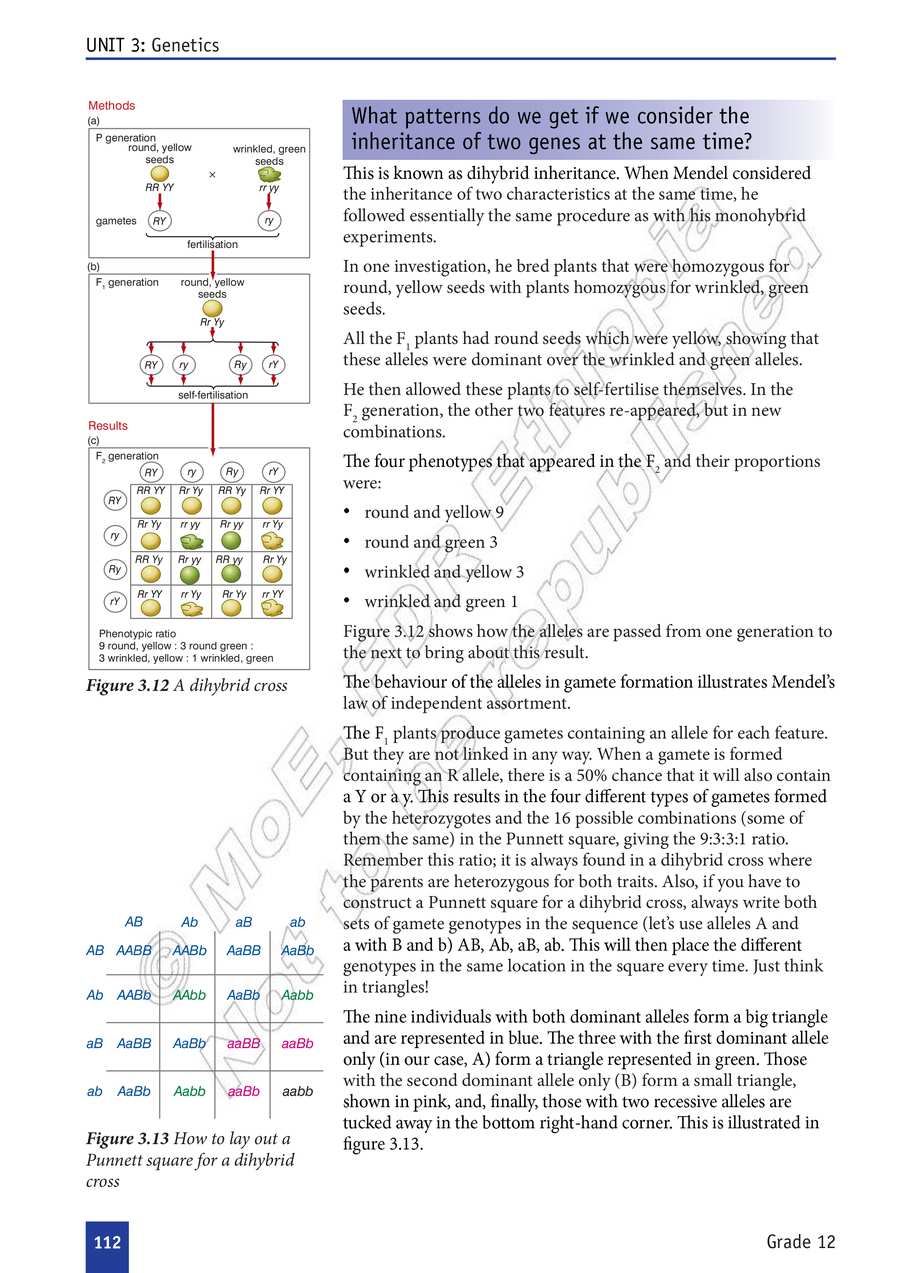 Biology grade 12
                
                page 117