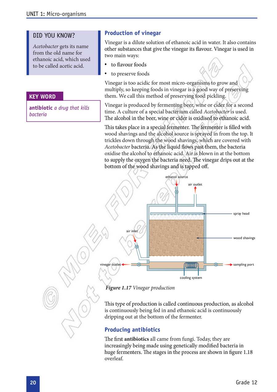 Biology grade 12
                
                page 25