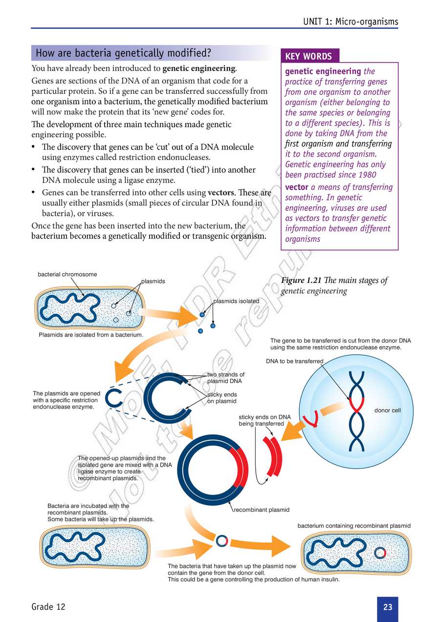 Biology grade 12
                
                page 28