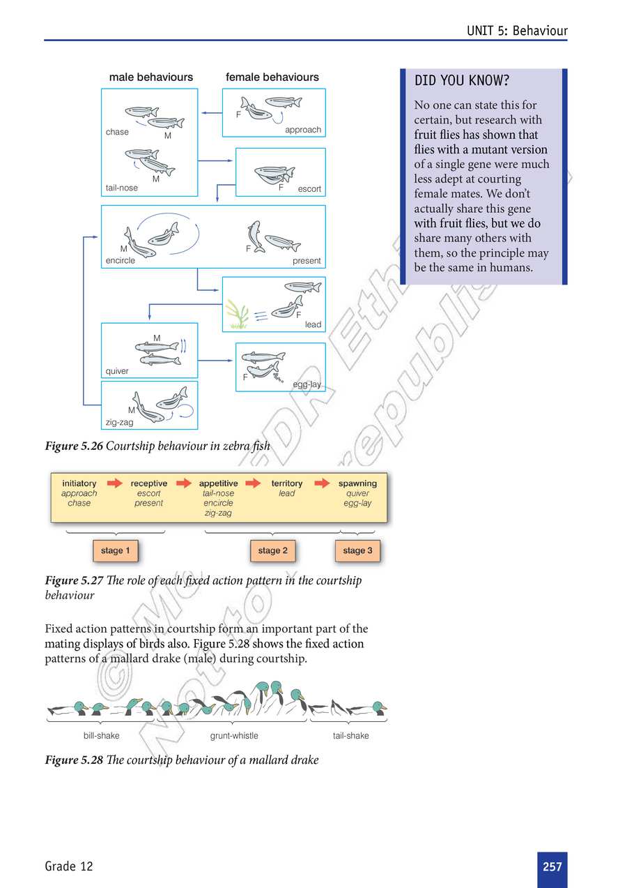 Biology grade 12
                
                page 262