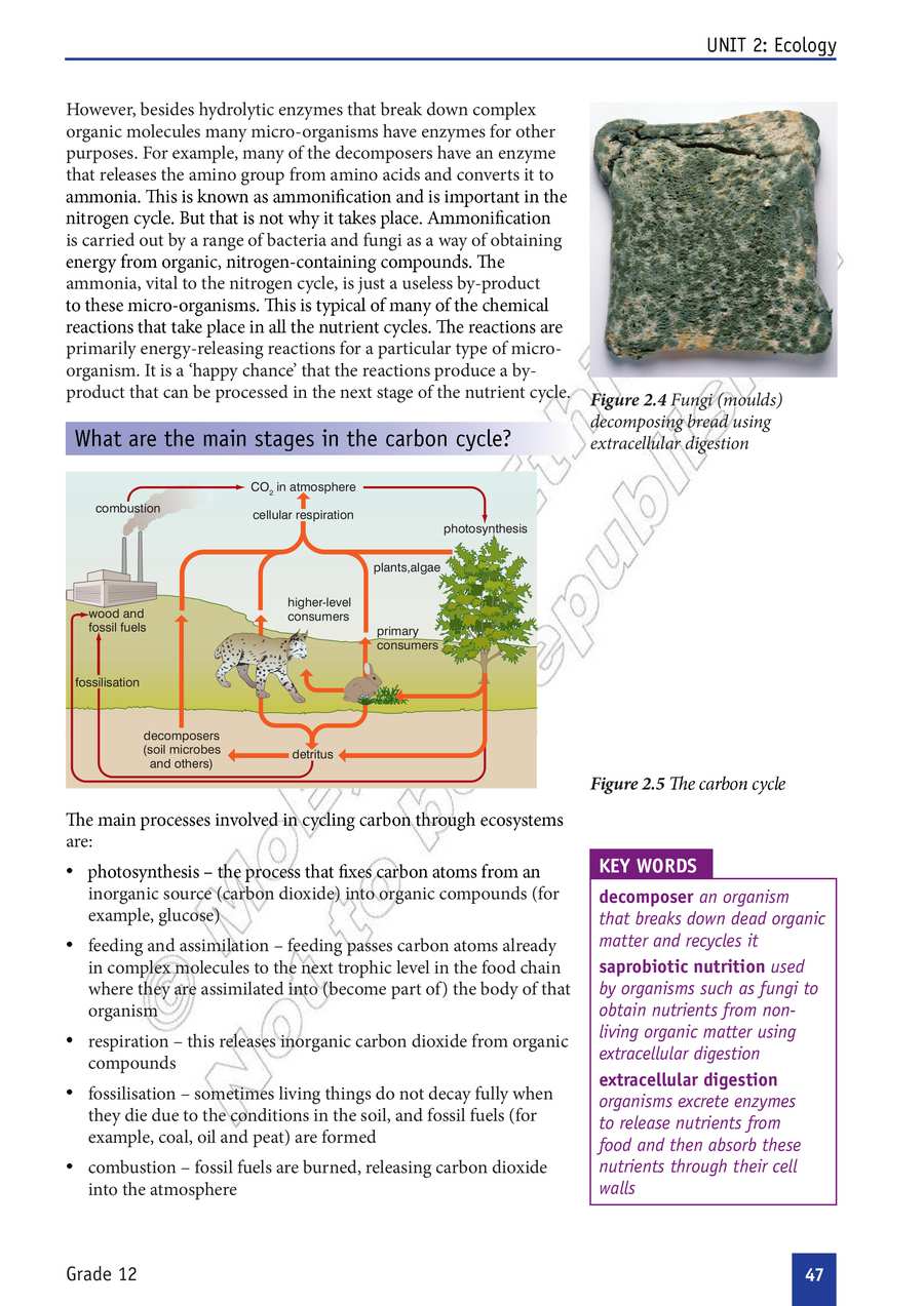 Biology grade 12
                
                page 52