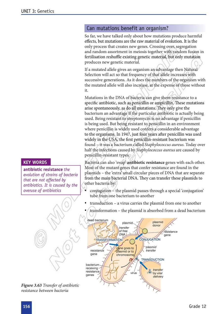Biology grade 12
                
                page 161