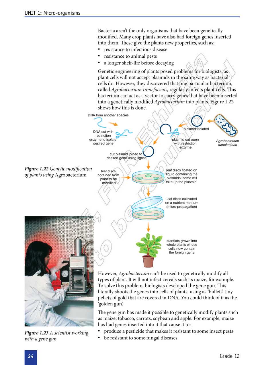 Biology grade 12
                
                page 29