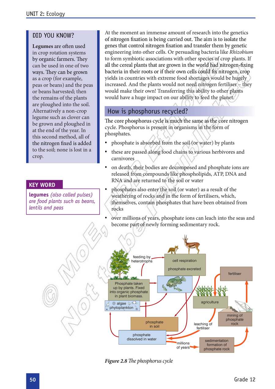 Biology grade 12
                
                page 55