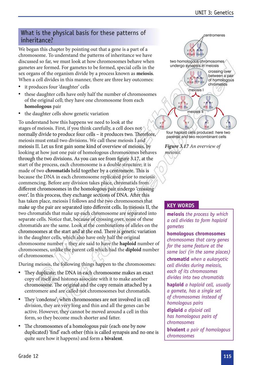 Biology grade 12
                
                page 120