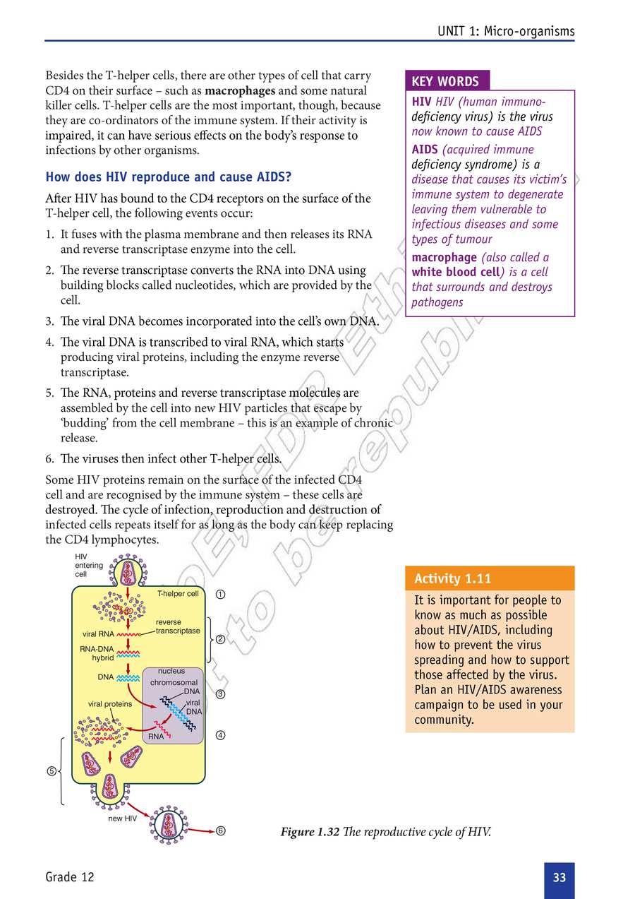 Biology grade 12
                
                page 38