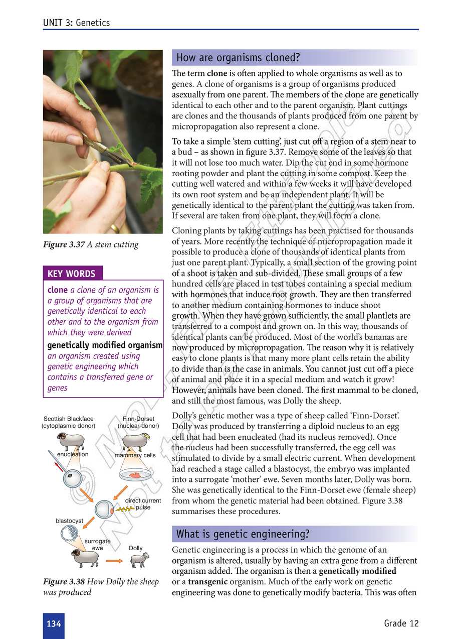 Biology grade 12
                
                page 139