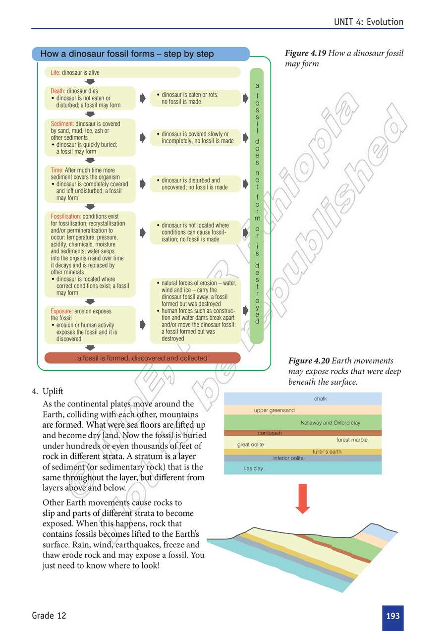 Biology grade 12
                
                page 198