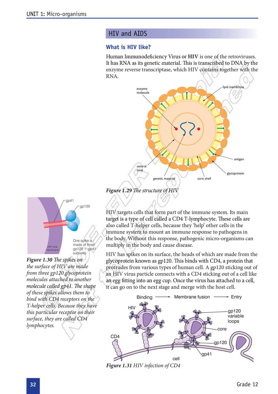 Biology grade 12
                
                page 37