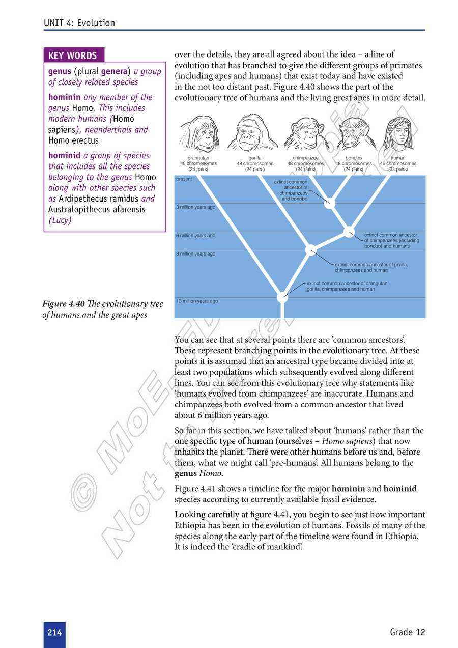 Biology grade 12
                
                page 219