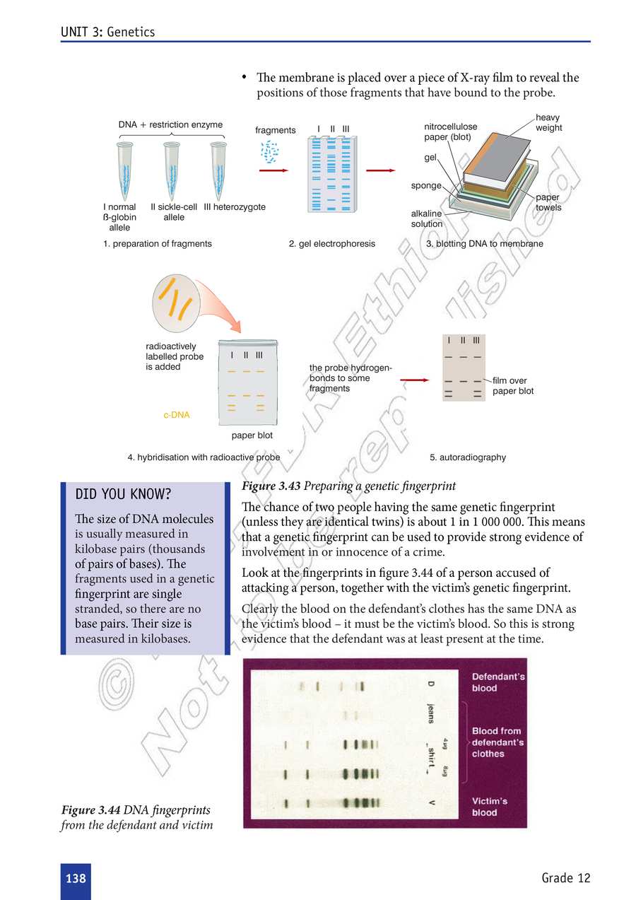 Biology grade 12
                
                page 143