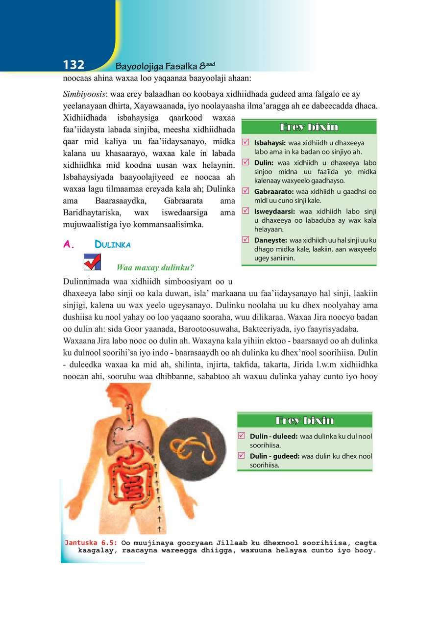 Biology grade 8
                
                page 139