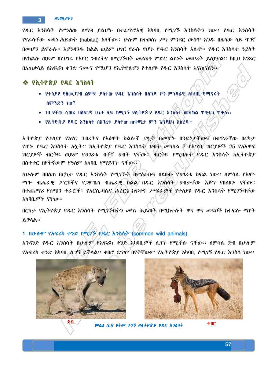 Social Studies grade 5
                
                page 61