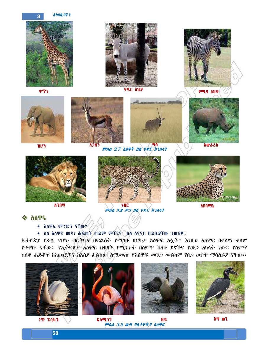 Social Studies grade 5
                
                page 62