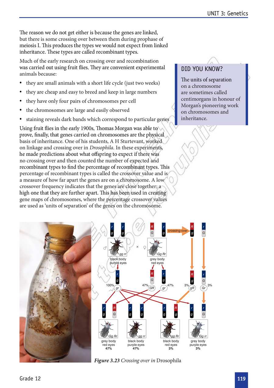 Biology grade 12
                
                page 124