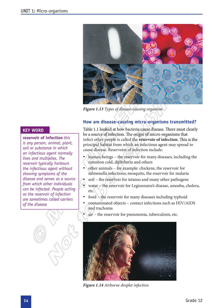 Biology grade 12
                
                page 19