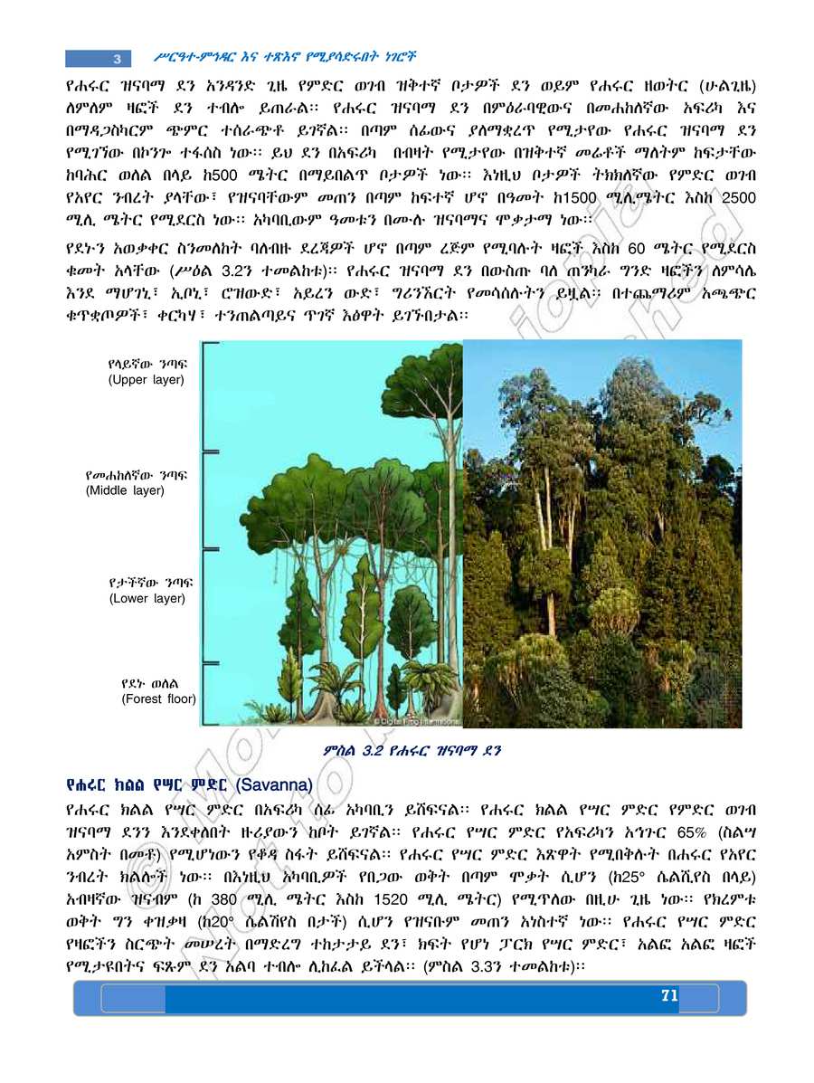 Social Studies grade 7
                
                page 75