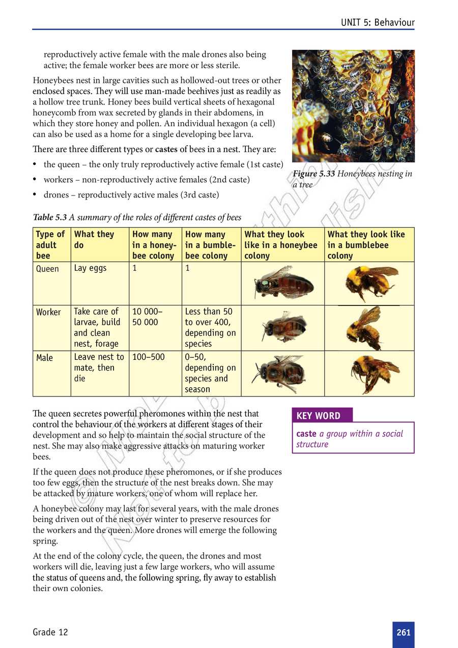 Biology grade 12
                
                page 266