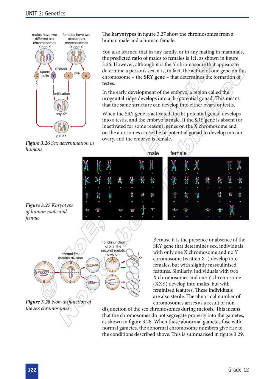 Biology grade 12
                
                page 127