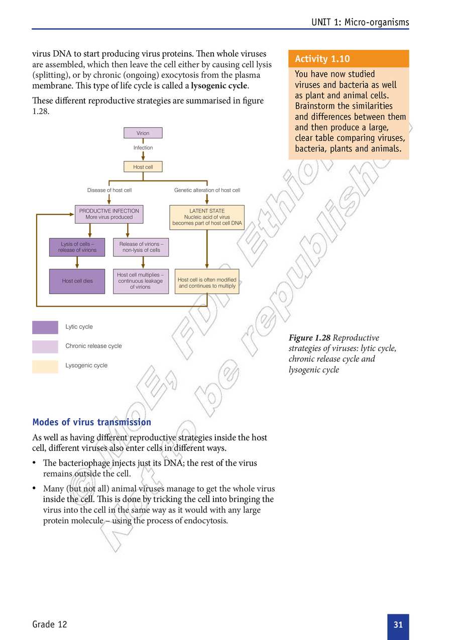 Biology grade 12
                
                page 36
