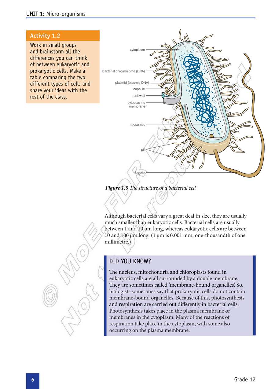 Biology grade 12
                
                page 11